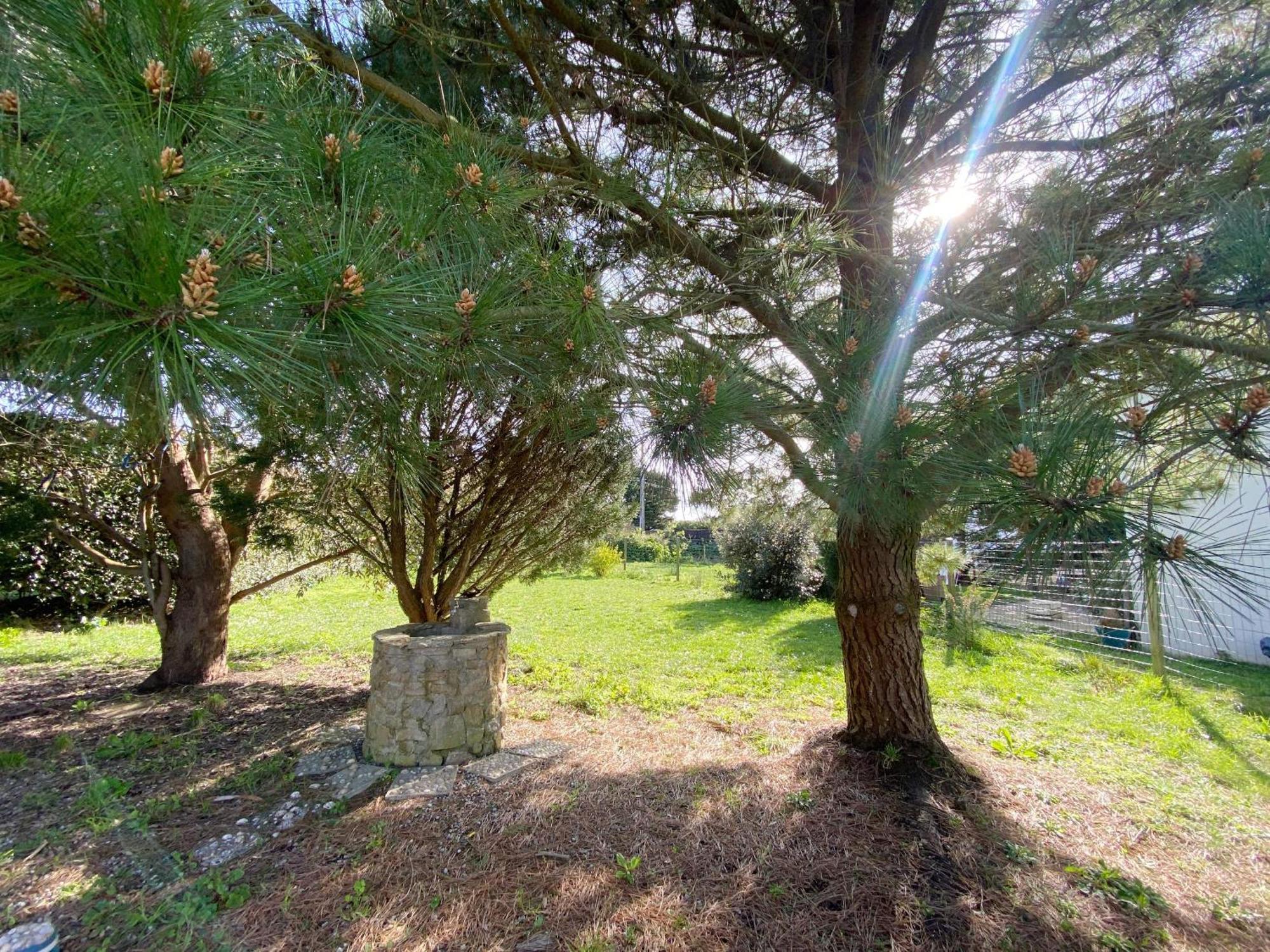 Er Blehua - 5 Pieces, Jardin, Sainte-Barbe - C58 Βίλα Plouharnel Εξωτερικό φωτογραφία
